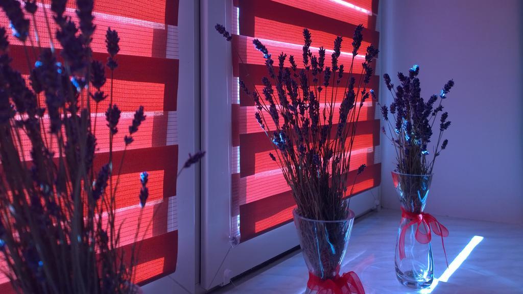 Apartament W Krakowie Екстериор снимка
